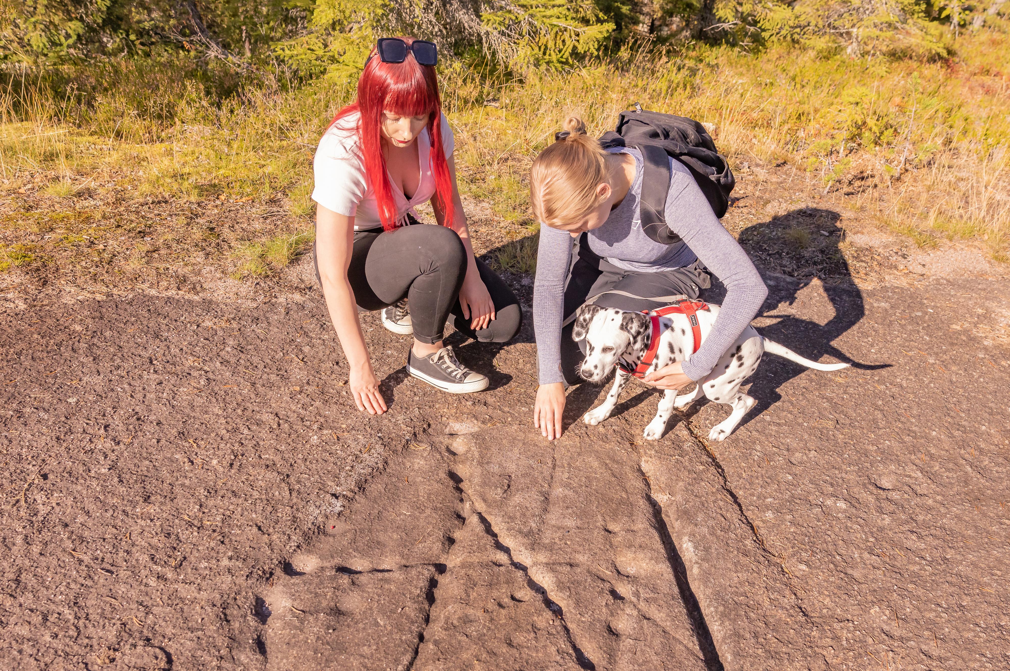 Kaksi tyttöä ja koira tutustuvat muinaisjäännöksiin.