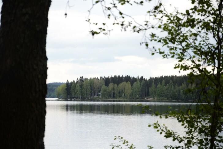 Etualalla puu ja vihreitä oksia ja taustalla näkymä järvelle.