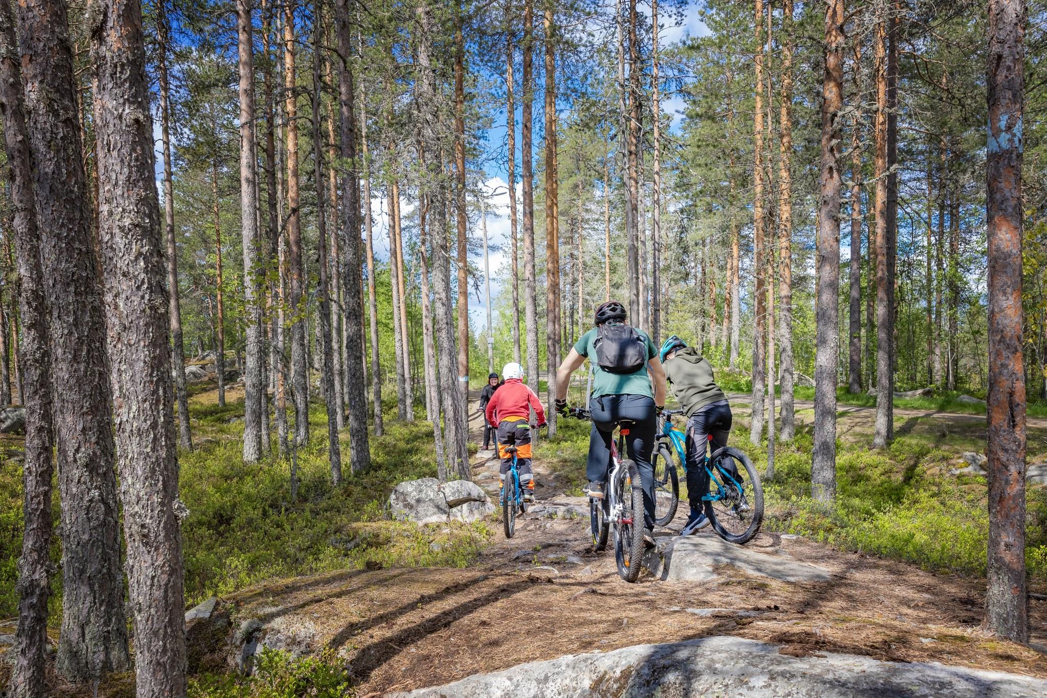 Kolme pyöräilijää Iisalmen Paloisvuoren ulkoilualueen maisemissa.