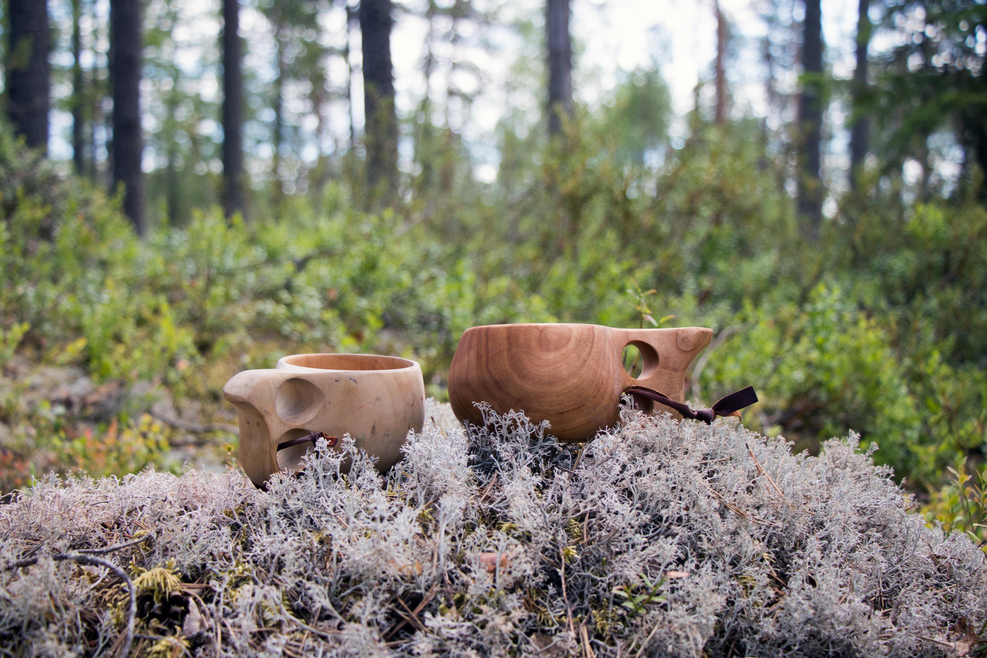 Kaksi kuksaa vierekkäin metsässä, maassa.