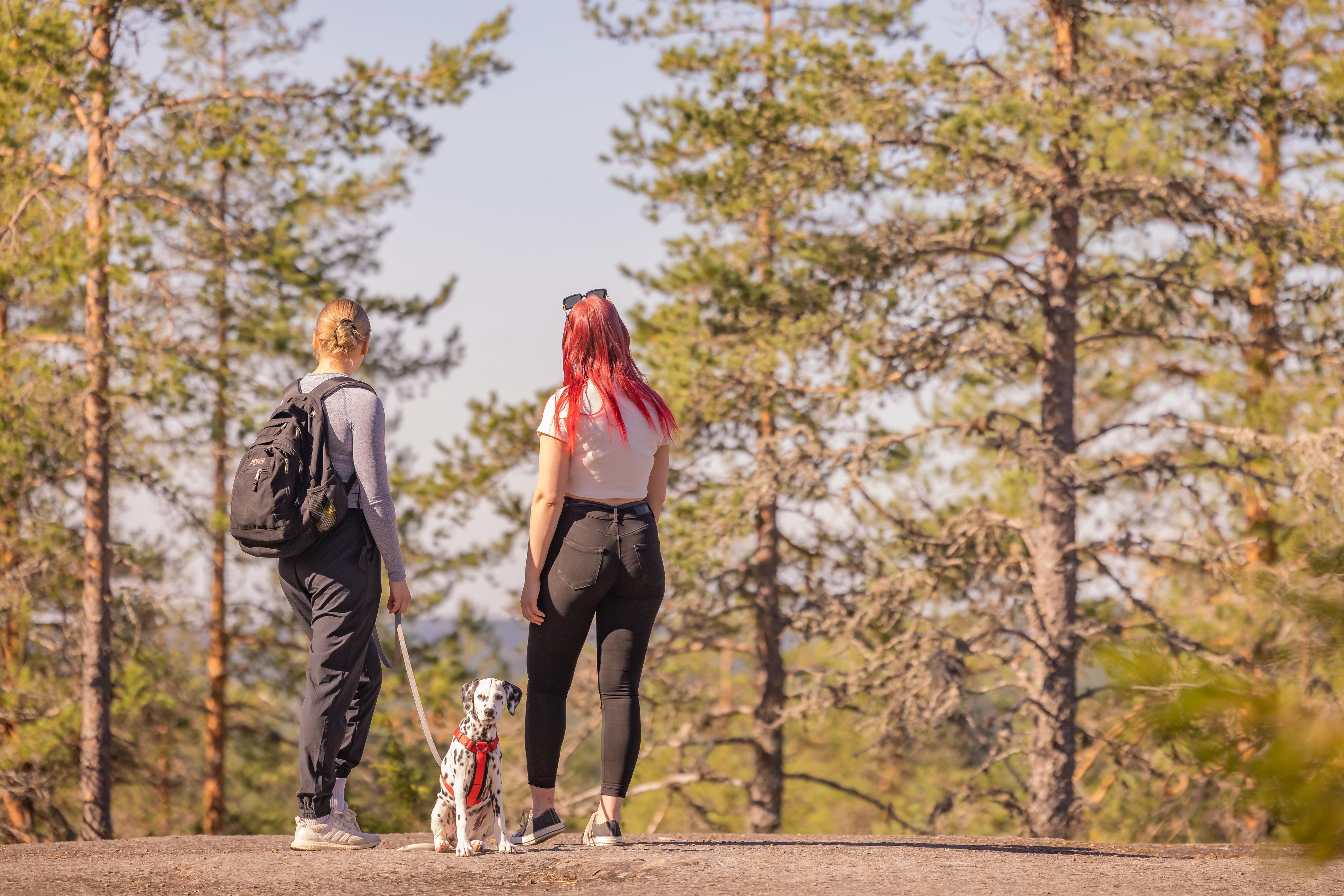 Kaksi tyttöä rinteen päällä vierekkäin katsoen metsään. Selät kameraan päin. Vaemmanpuoleisella tytöllä reppu ja hän pitelee dalmatialaiskoiraa hihnassa